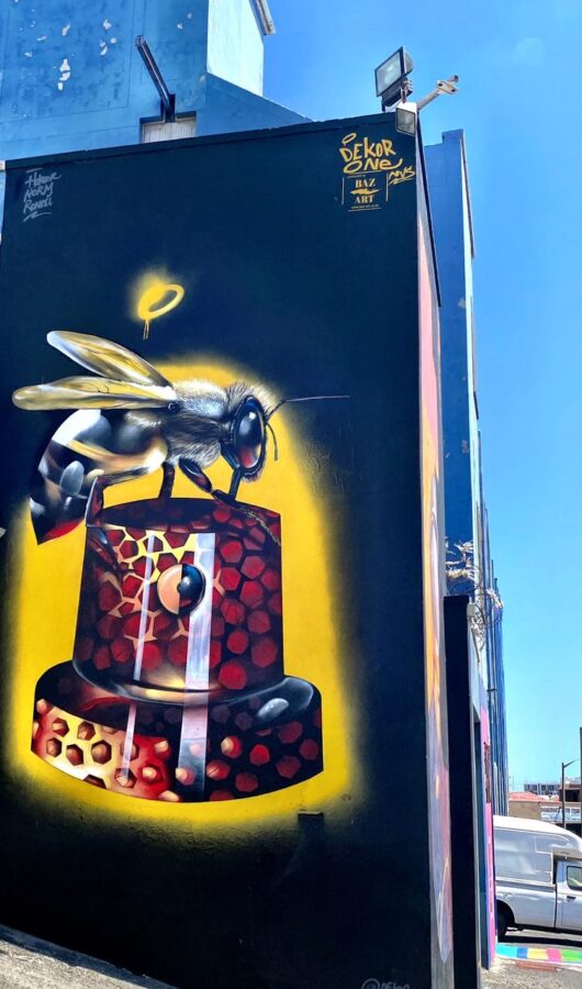 International Public Art Festival in Salt River