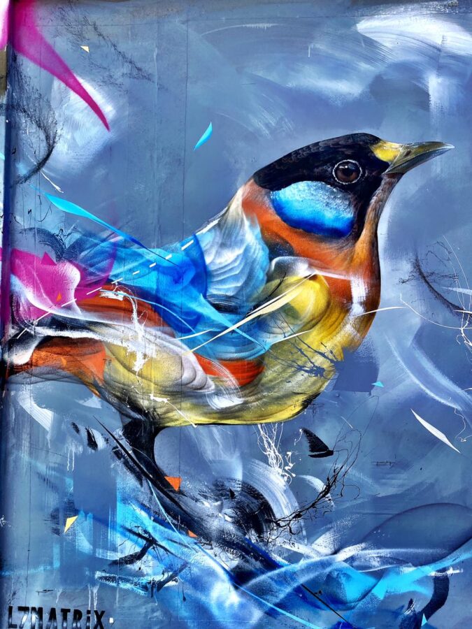 International Public Art Festival in Salt River