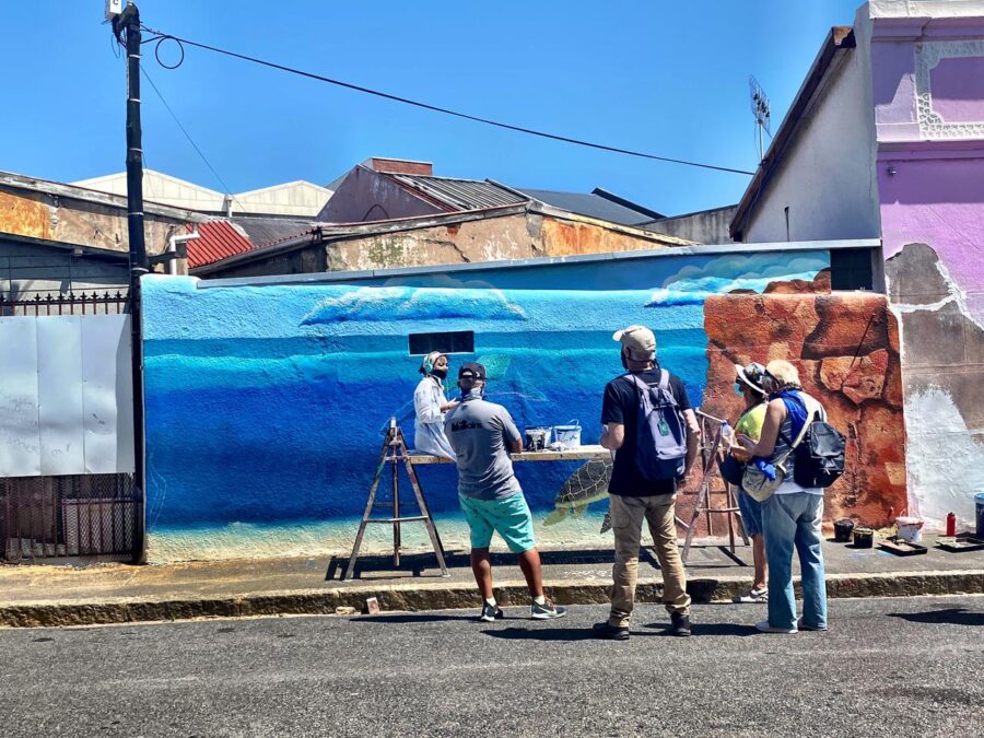 International Public Art Festival in Salt River