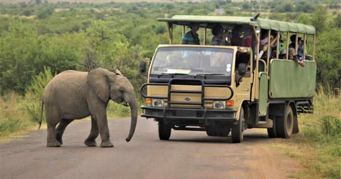 tourist-equity-fund-South-Africa tourist-equity-fund-South-Africa