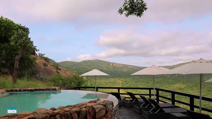 wild life reserve carte blanche wild life reserve carte blanche