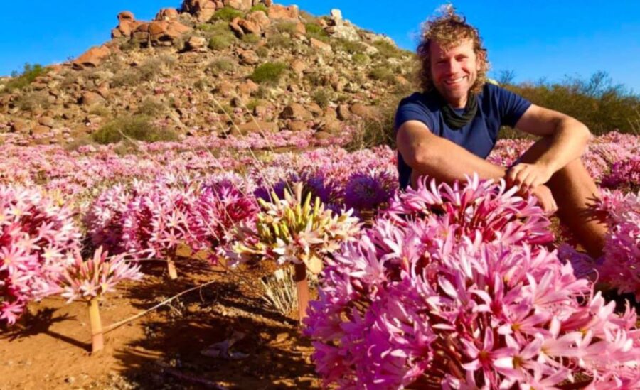 WATCH Candelabra Lily 'Secretly' in Flower in the Northern Cape