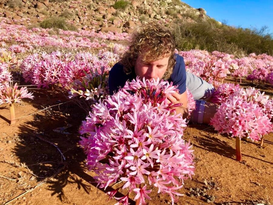 Leon Kluge with Candelabra Lily, Northern Cape