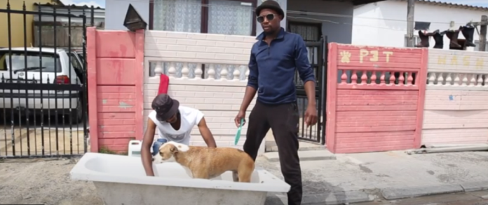 dog-washing business in khayelitsha