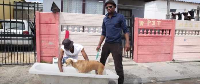 dog-washing business in khayelitsha dog-washing business in khayelitsha