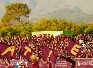 Stellenbosch-University Afrikaans mother tongue education
