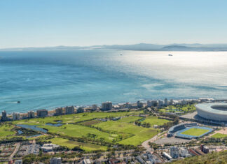 Green Light for Lions Tour Bodes Well for South Africa's Tourism Industry