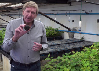 SA's Emerging Truffle Market Breaking the Rules - Carte Blanche on Sunday