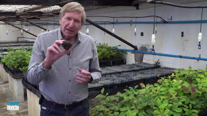carte blanche truffles SA's Emerging Truffle Market Breaking the Rules - Carte Blanche on Sunday