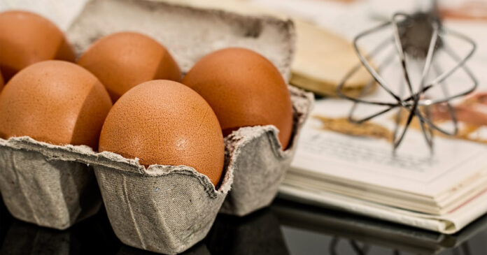eggs-bela-bela-land-claims-success Bela-Bela Egg Farm Tells an Excellent Story of Land Claim Success