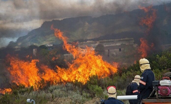 kenilworth_race_course_burn_40_huge kenilworth_race_course_burn