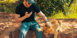 Captive Lion Breeding Poses Health Risks to Tourists and Others, Says Study