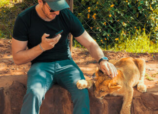 Captive Lion Breeding Poses Health Risks to Tourists and Others, Says Study