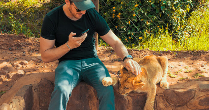 lion-cub-petting-South-Africa-iStock-1192232783 Captive Lion Breeding Poses Health Risks to Tourists and Others, Says Study