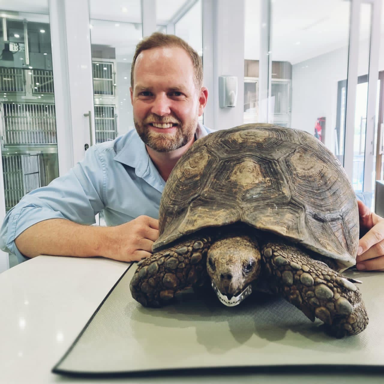 tortoise munchkins vet jaw 3d printer