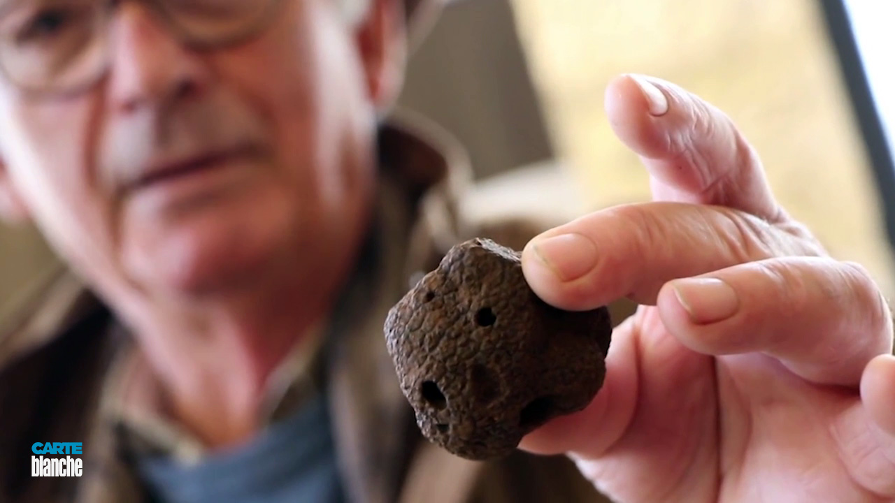 truffles SA