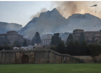 A wildfire spread across the slopes of Table Mountain to the University of Cape Town. Photo by Brenton Geach/Gallo Images via Getty Images