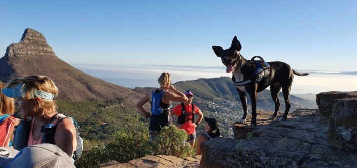 Bryony McCormick and Khaya Bryony McCormick and Khaya, adopted dog Khayelitsha animal clinic
