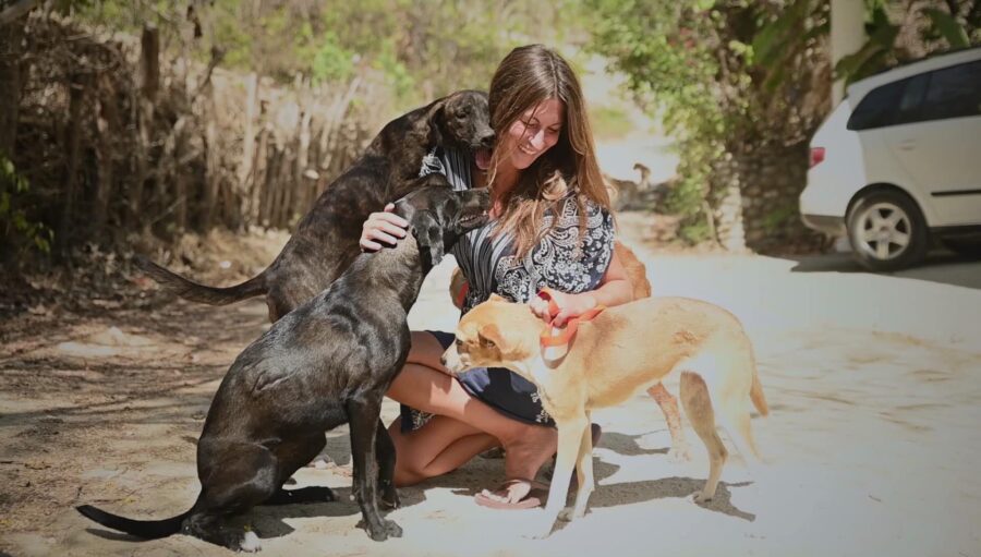 Claudia Mamet saving dogs in Mexico