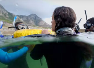 My-Octopus-Teacher-BBC-The-Great-th-African-Sea-Forest