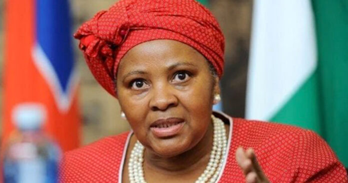 South-Africa-defence-minister-suspend-luxury-lifestyle DA: Suspend Defence Minister For Millionaire Lifestyle on Public Funds