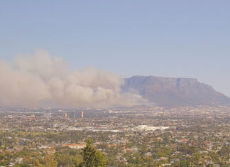 SANParks Table Mountain Order Urgent Evacuations Due to Newslands Fire