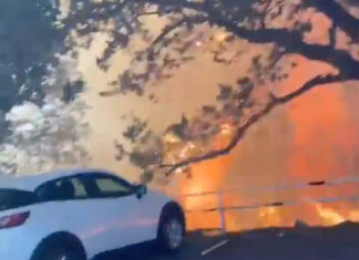 Note Left by Firefighters on Car Seen in Cape Town Fire Video