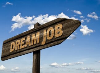 8000 new jobs south africa employment stimulus