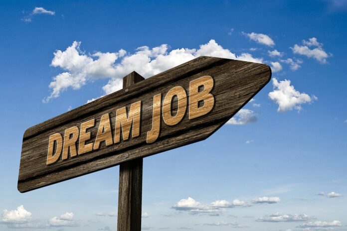 dream job employment south africa 8000 new jobs south africa employment stimulus