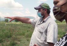 Groblersdal farm murder mystery Carte Blanche