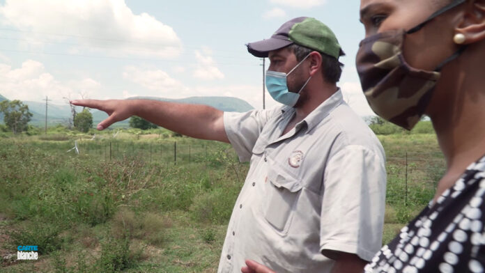 farm-attack-carte blanche Groblersdal farm murder mystery Carte Blanche