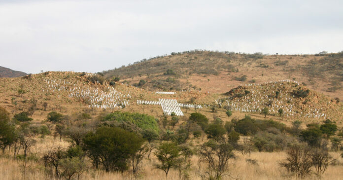 Nelspruit Mpumalanga farm-murder-South-Africa-iStock-1286821615-th Anna-Marie Botha and her son, Ruan Britz, were killed during a farm attack in Nelspruit, Mpumalanga. Photo: iStockPhoto