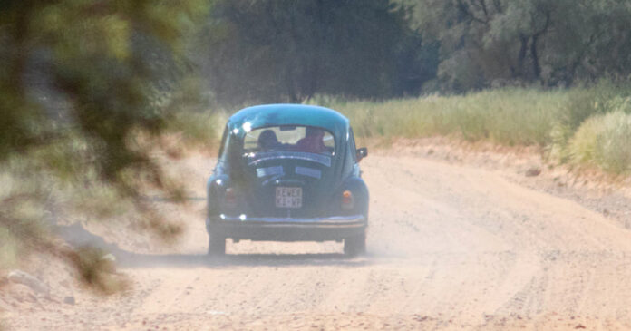 honeymoon-VW-beetle-lions Honeymoon Couple Rescued in Beetle with Lions 2 Metres Away, in Kgalagadi