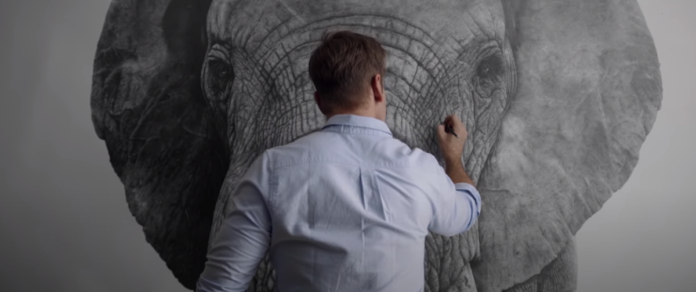 makavuzi elephant drawing elephant pencil drawing david filer