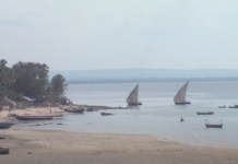 mozambique carte blanche