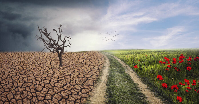 stellenbosch-climate-studies-landscape-4684217_1920-th Stellenbosch University to Open School for Climate Studies