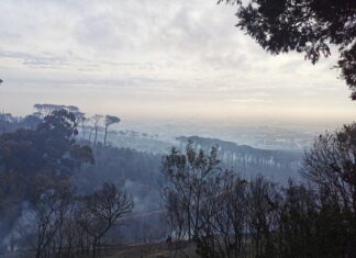 A Table Mountain fire has destroyed buildings and left Devil’s Peak burnt.