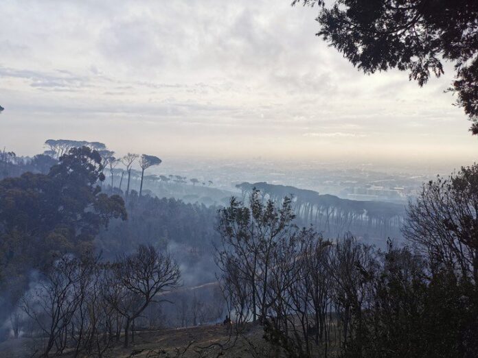 table mountain fire started vagrants homeless GUP A Table Mountain fire has destroyed buildings and left Devil’s Peak burnt.