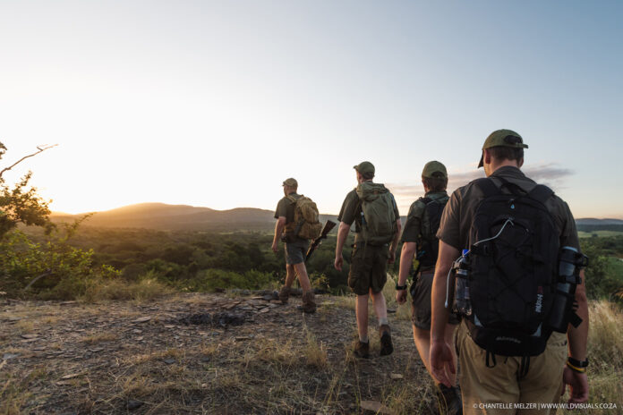 Student Black-rhino-attack-Zululand-WVC_Chantelle-Melzer_WM-7251 Trainee Guide Discharged in Good Spirits After Surviving Black Rhino Attack