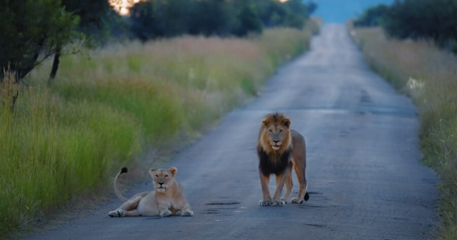 Bucket List South Africa Video