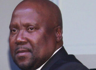 SANParks CEO sexual assault charges special leave Fundisile Mketeni