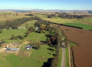 DA condemns farm attack near Estcourt