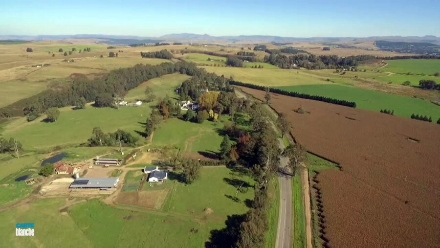 KZN Farm Attacks: Who Would Murder a Man in a Wheelchair?
