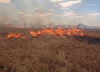 KNP prepares for the winter fire season