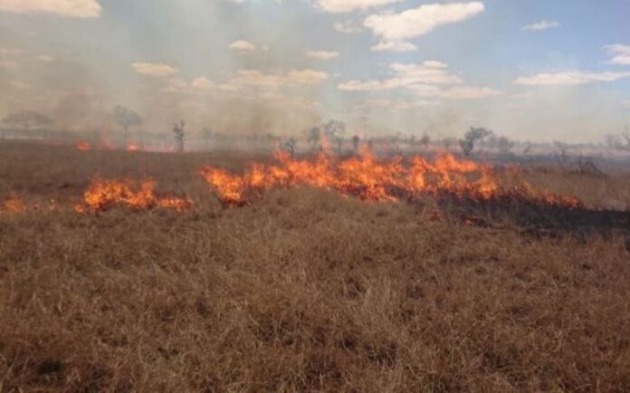 Photo 1 - KNP prepares for the winter fire season KNP prepares for the winter fire season