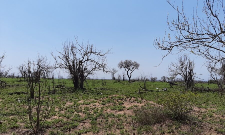 KNP prepares for the winter fire season