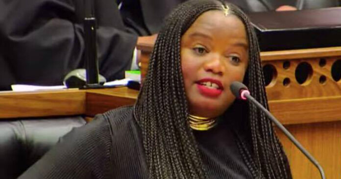 Phumzile-van-Damme-resigns-DA Phumzile Van Damme DA MP Resigns