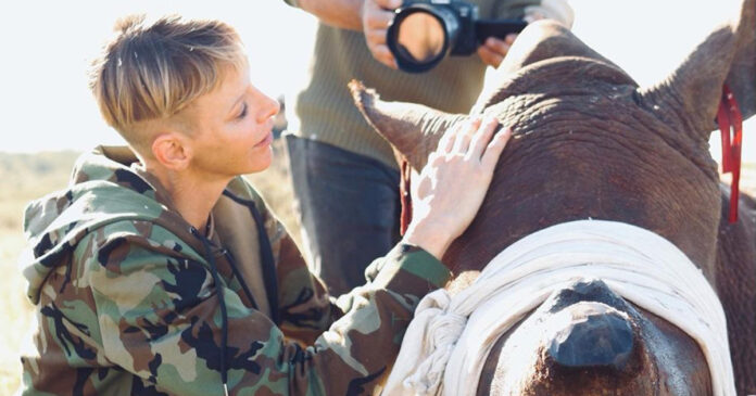 Princess-Charlene-rhino-South-Africa-sick-Monaco-Grand-Prix Princess Charlene to Miss Monaco Grand Prix Because Sick in South Africa. Photo: Christian Sperka