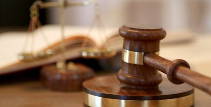gravel SANParks welcomes rhino poacher’s jail sentence
