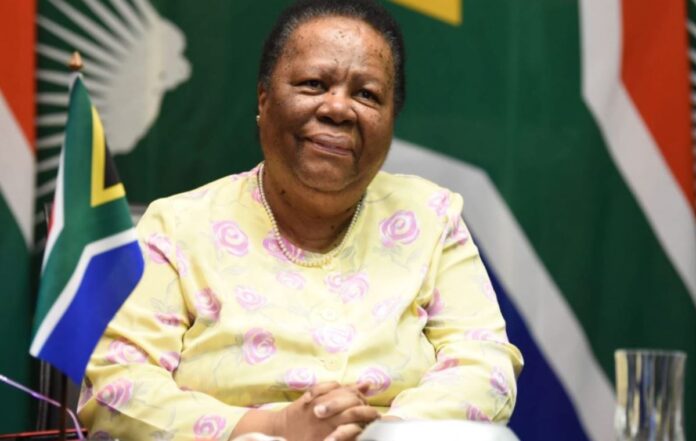 naledi pandor naledi pandor